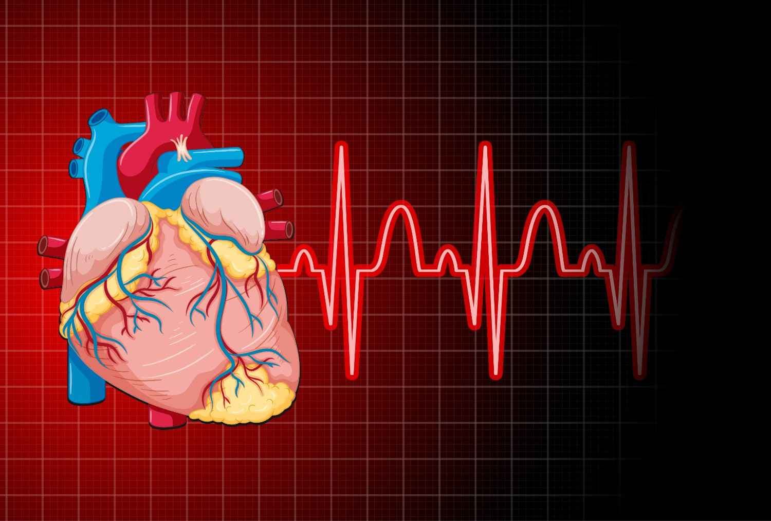 Pemeriksaan EKG di Klinik Bumame untuk deteksi gangguan jantung
